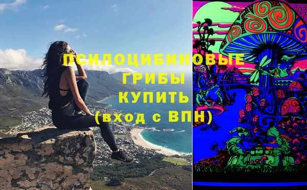 прущие грибы Абдулино